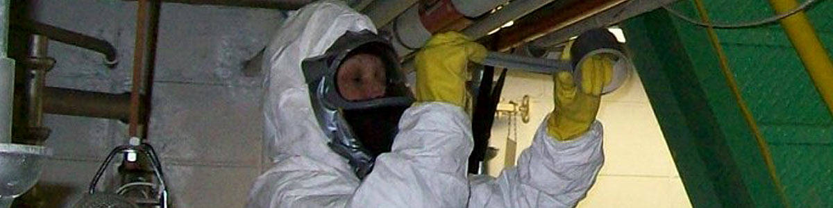 Asbestos Removal